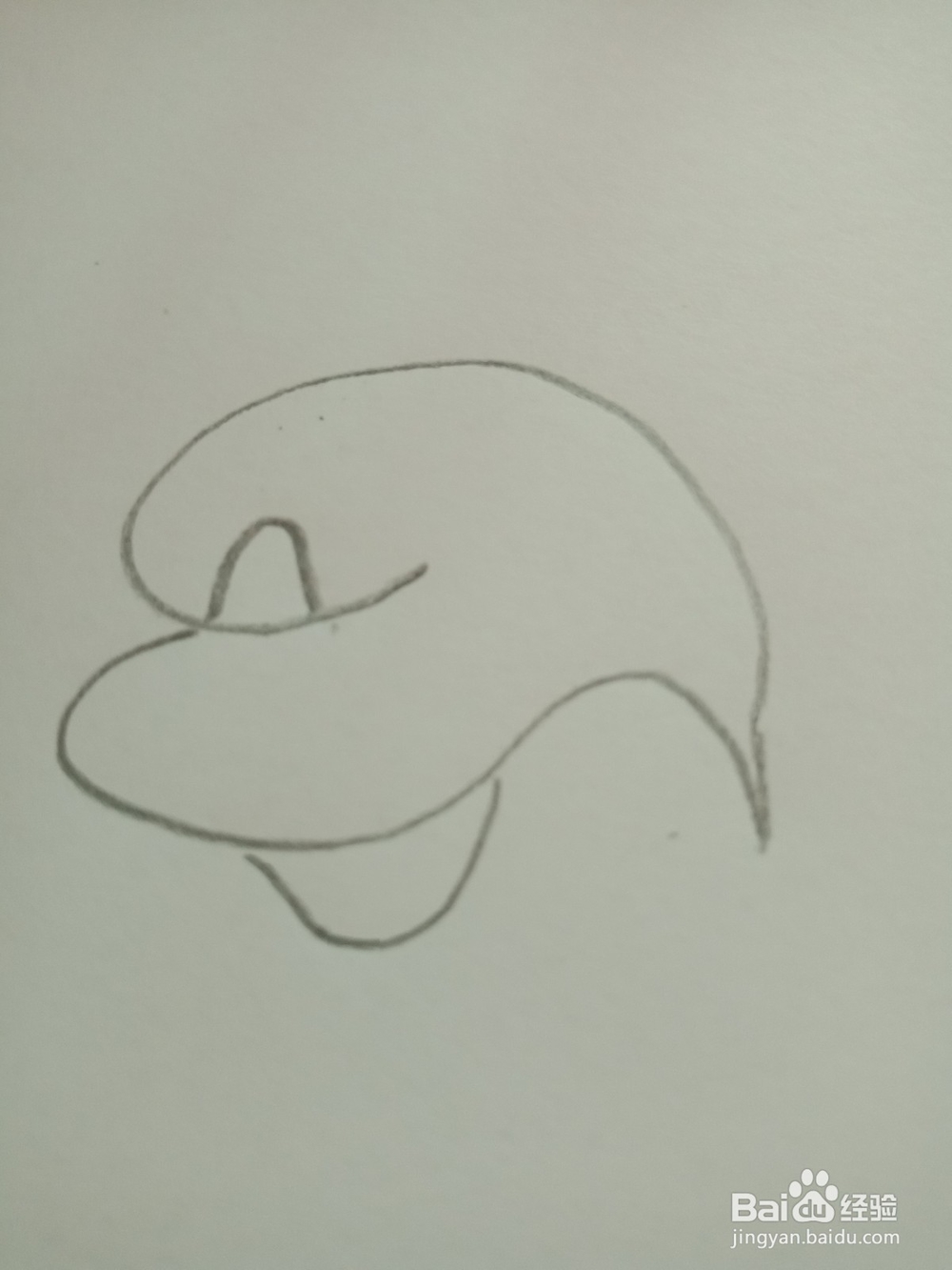 简笔画---马蹄莲