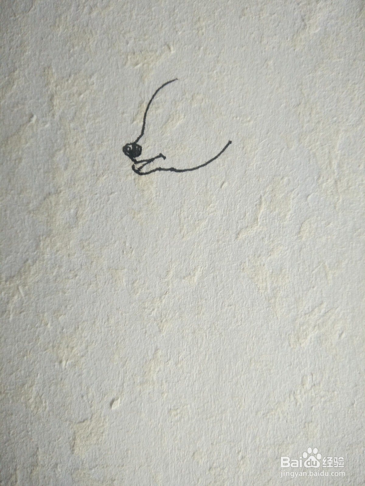 小鹿简笔画彩色