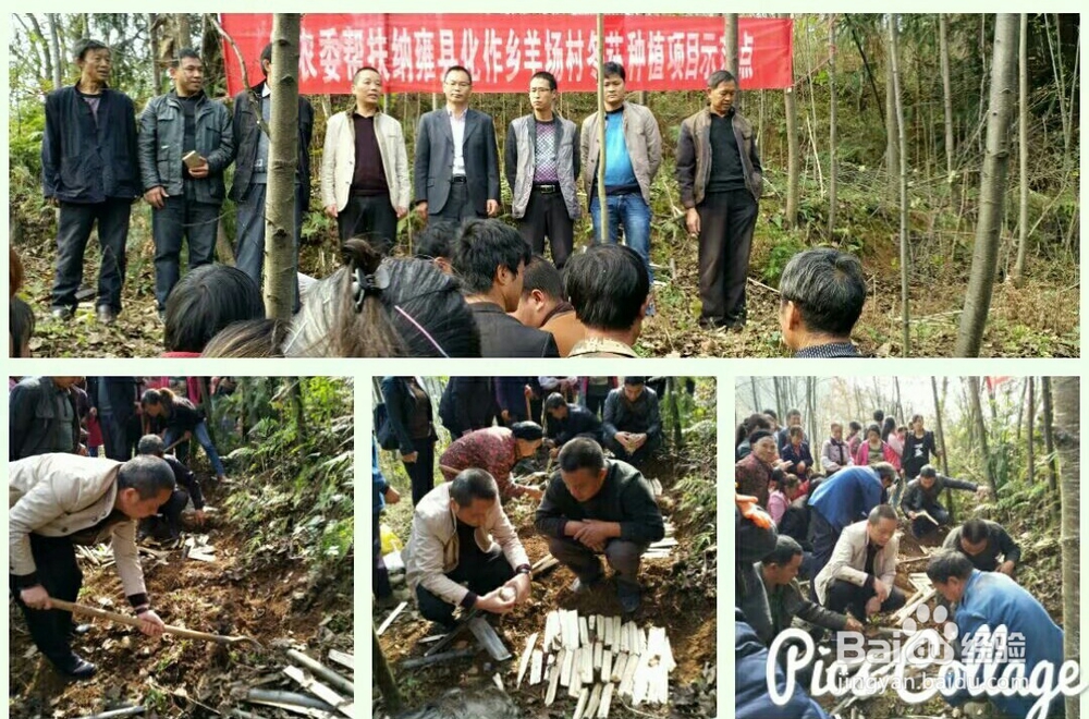 驻村典型案例（村里来了个快炮书记）