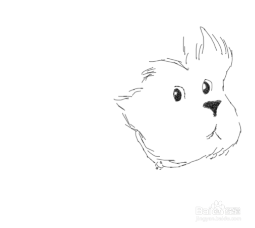 卡通线稿小猫是怎么画的