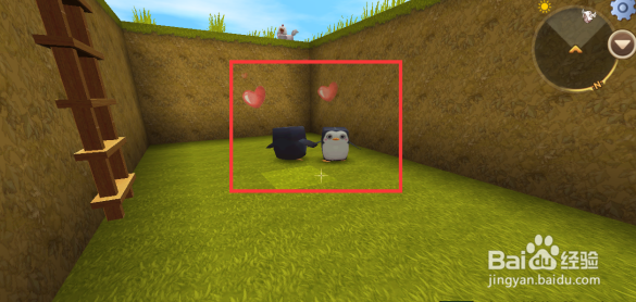 迷你世界企鹅怎么饲养