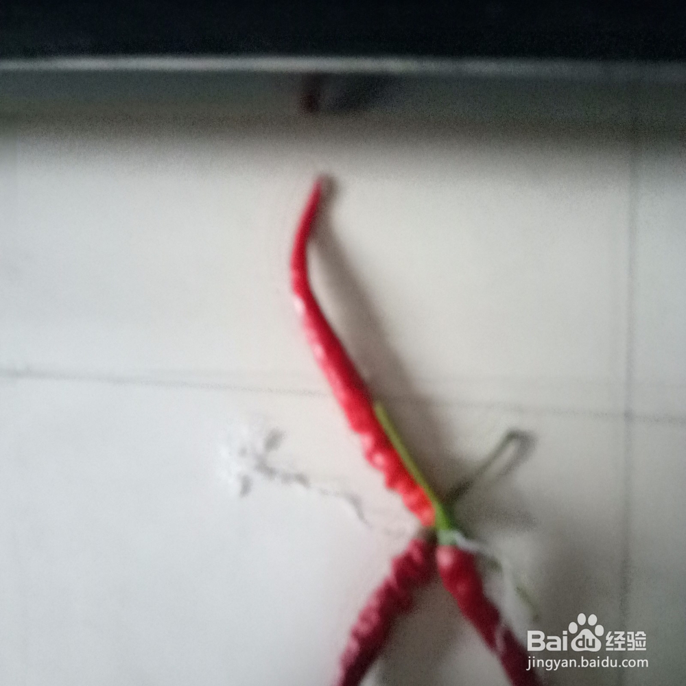 怎样串红辣椒