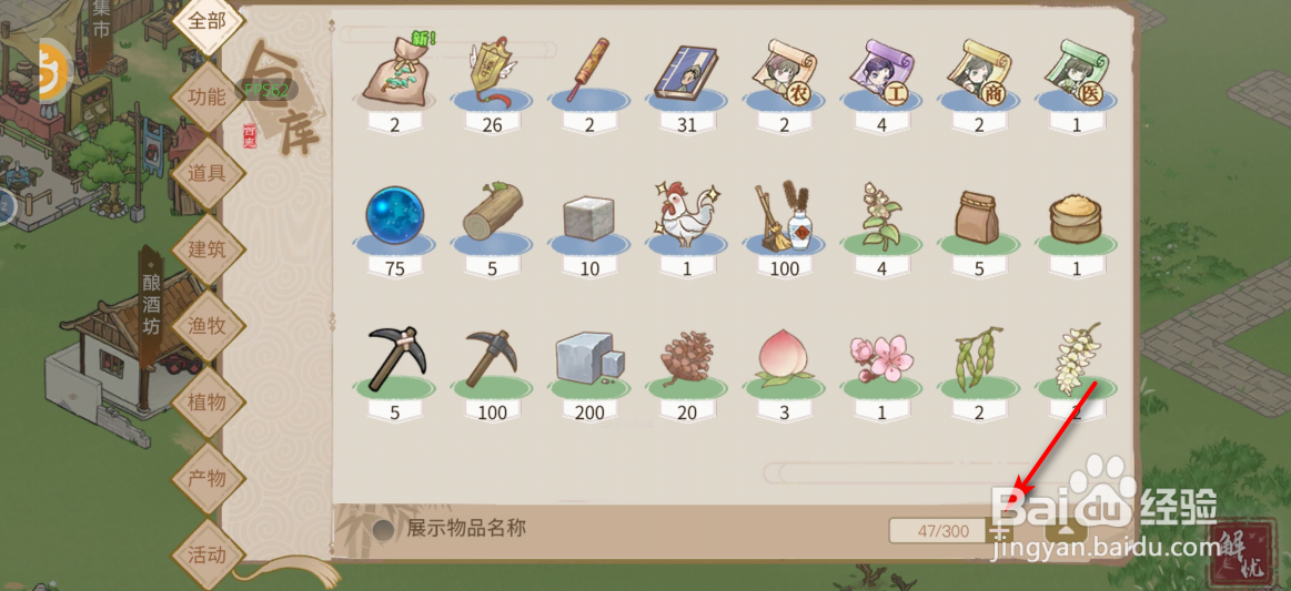 解忧小村落怎么扩充行囊空间