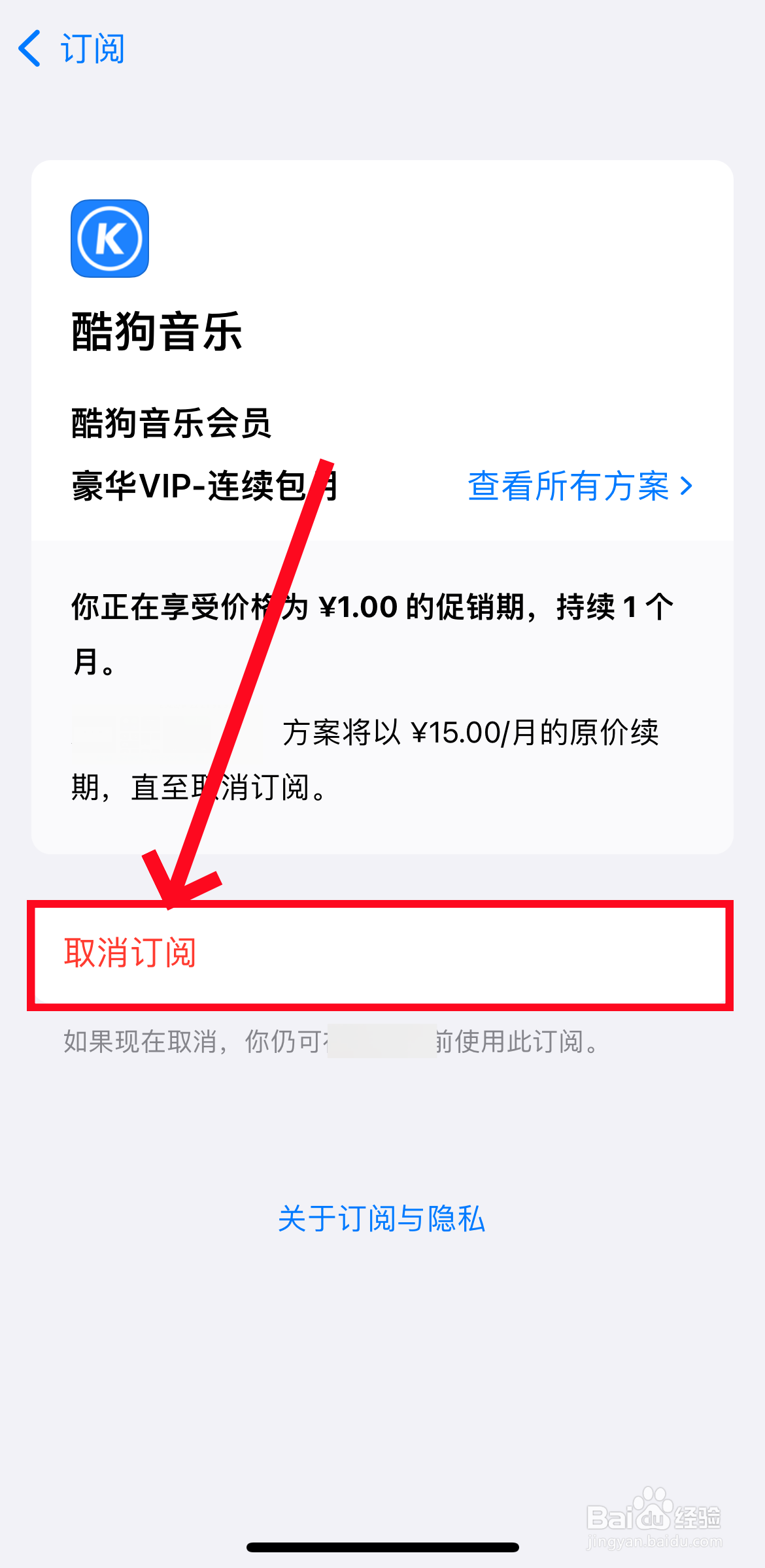 苹果手机怎么取消自动续费