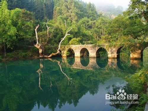 重庆到凤凰古城、梵净山、(苗王城)三日游