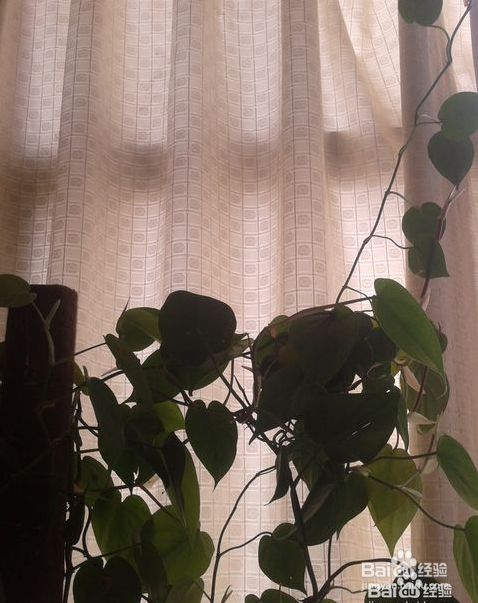 室内没有空调该怎样降温