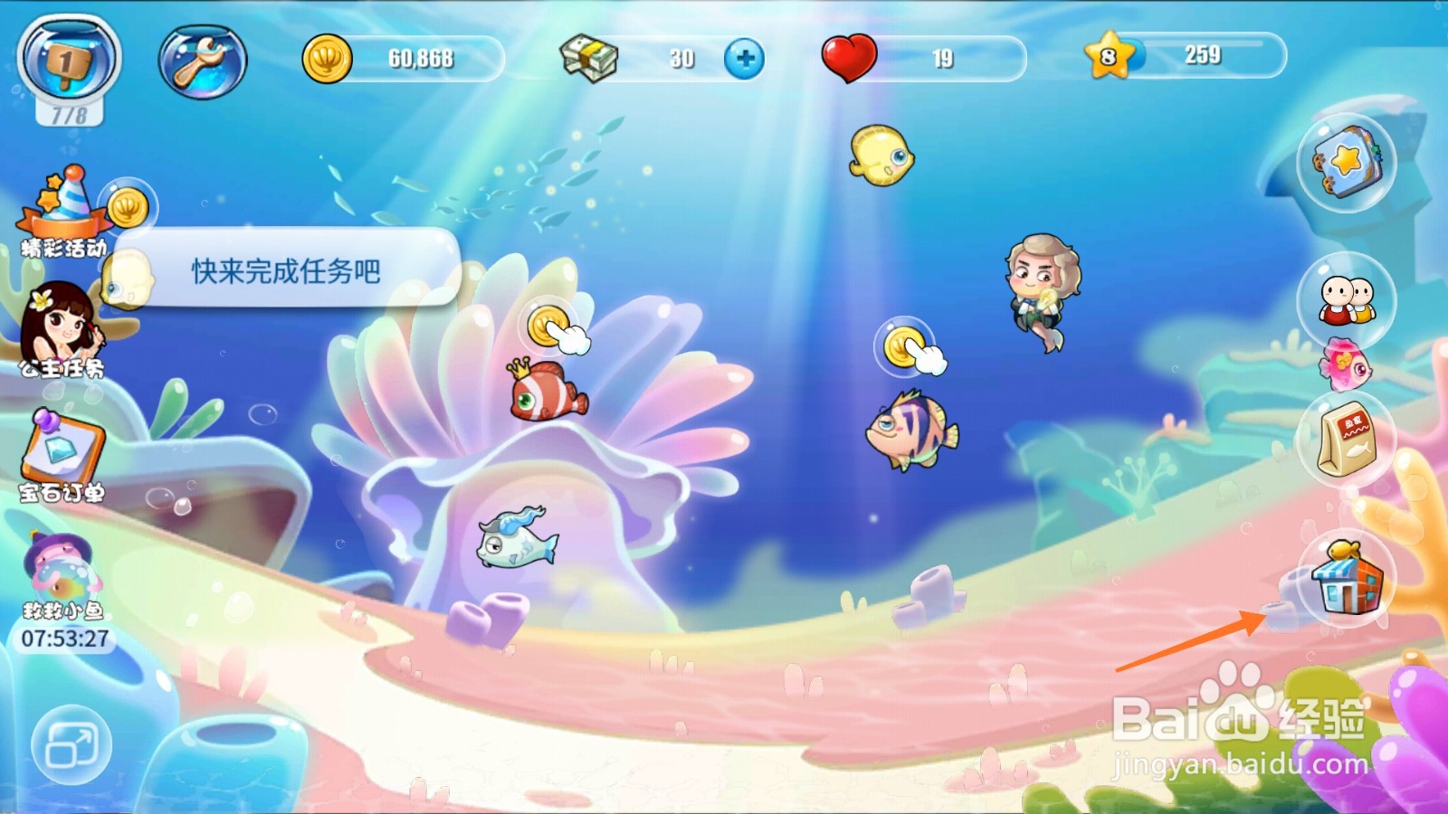 开心水族箱中哪里得到玉顶红白