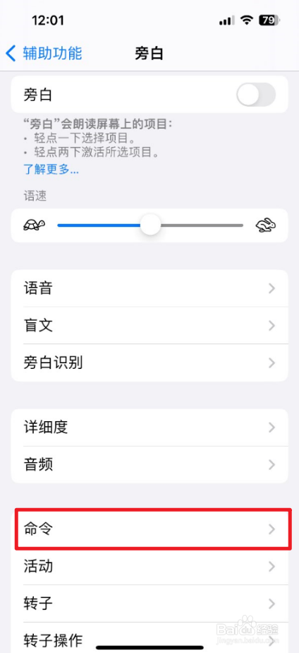 怎么设置iPhone旁白命令