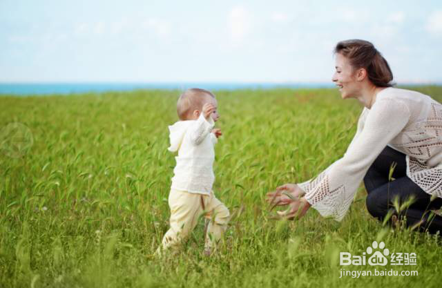 幼儿奶粉哪个好