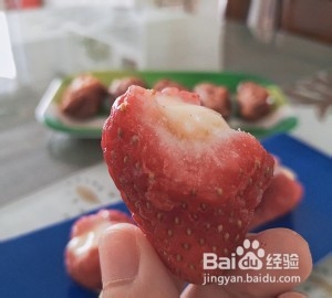 乳酪莓莓冻的做法