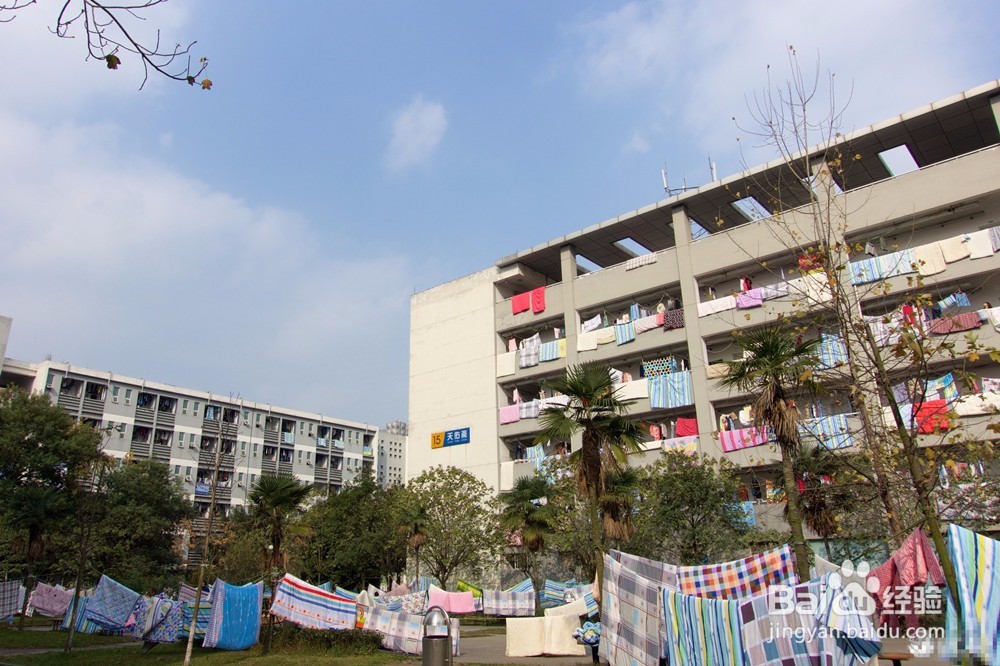冬天被子潮湿怎么办 潮湿天气被子如何除湿