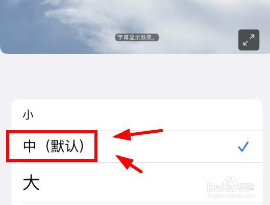 iPhone14如何设置样式大小为中等大小