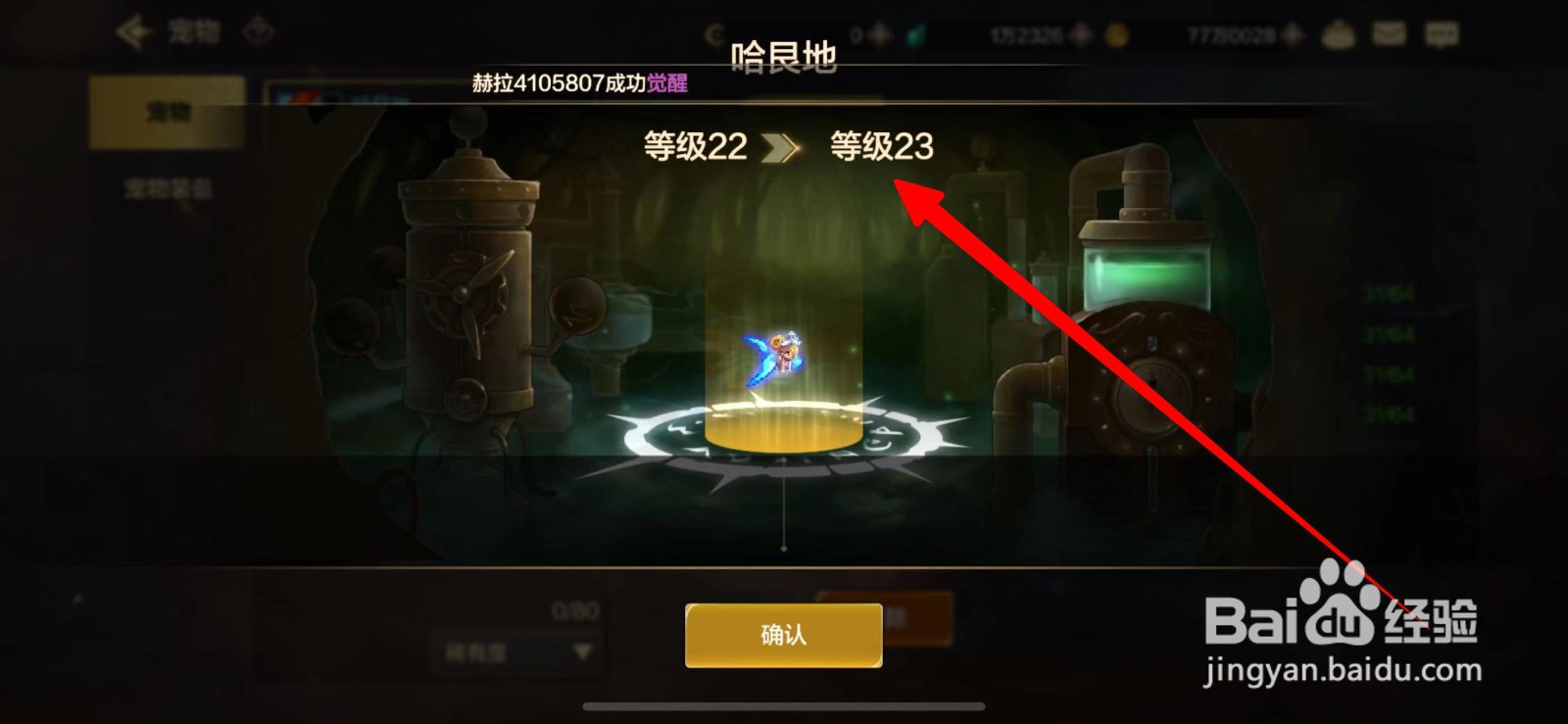 DNF手游宠物升级攻略