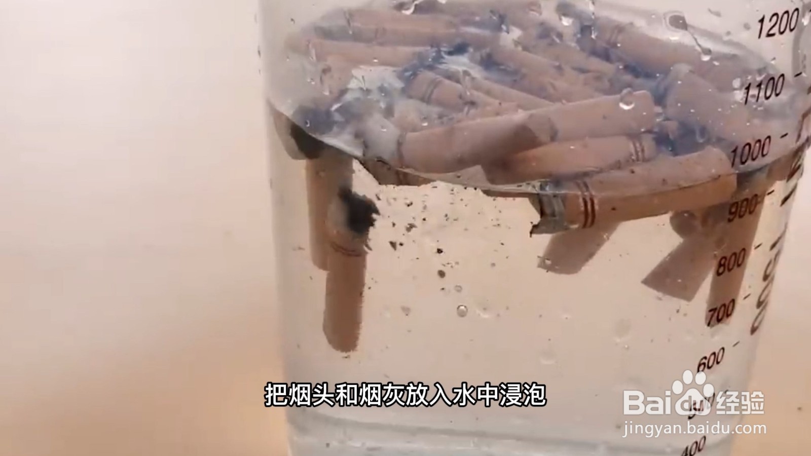 厨房里的小飞虫怎么消灭