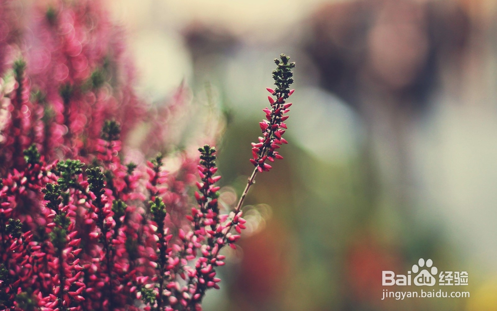 12星座如何应对七年之痒？有你要的答案