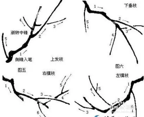 国画梅花的画法攻略