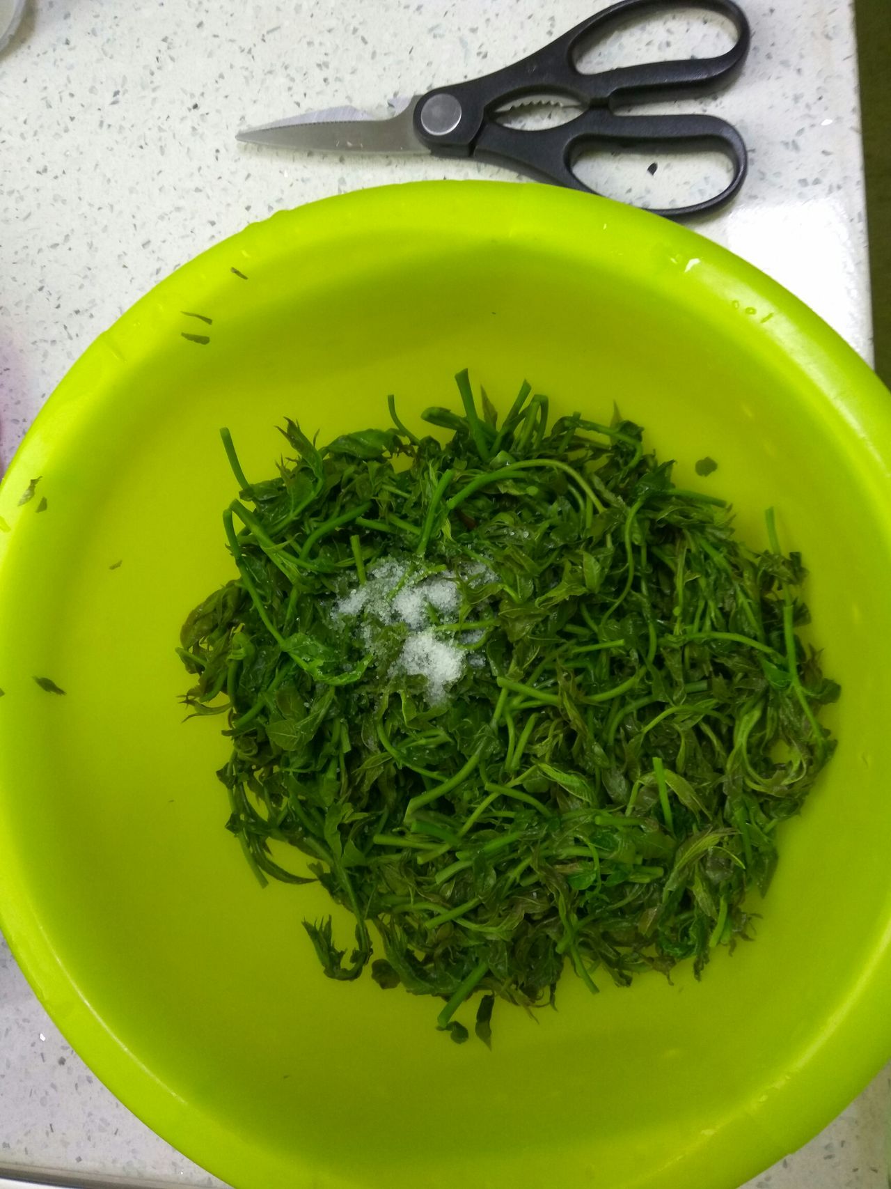 教你做美味的冷冻香椿