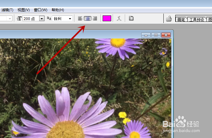 怎么样才能用PS在图片上添加所需的文字