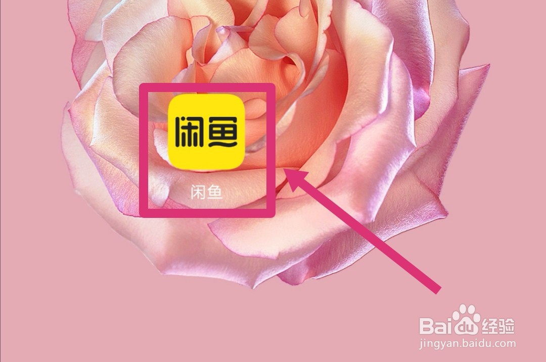 闲鱼怎么查看账号登录信息？