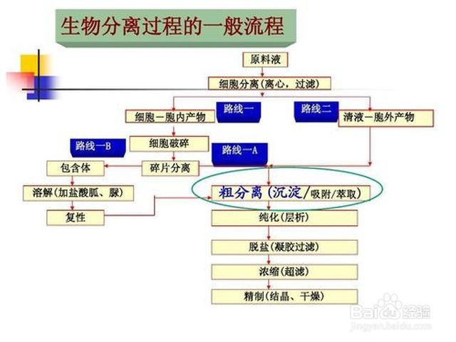 氨氮高了怎么处理方法