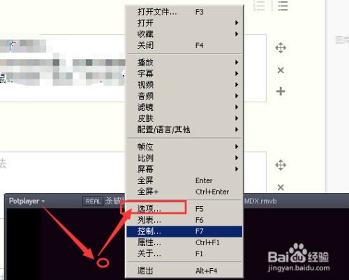 Potplayer设置前进后退时间 Mr Cat123的wudl博客 Csdn博客