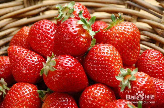 如何选购草莓
