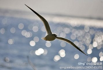 关于美白的几个生活细节