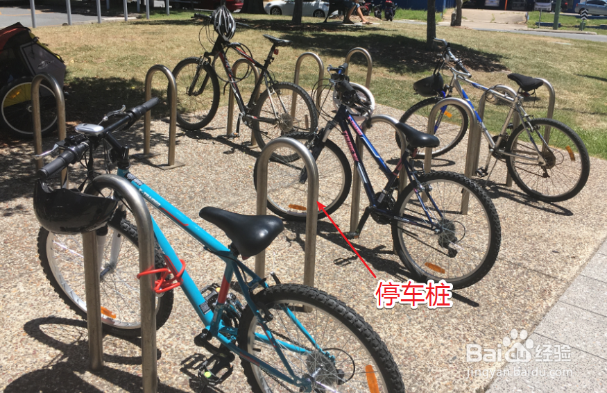 澳洲自行车骑行经验