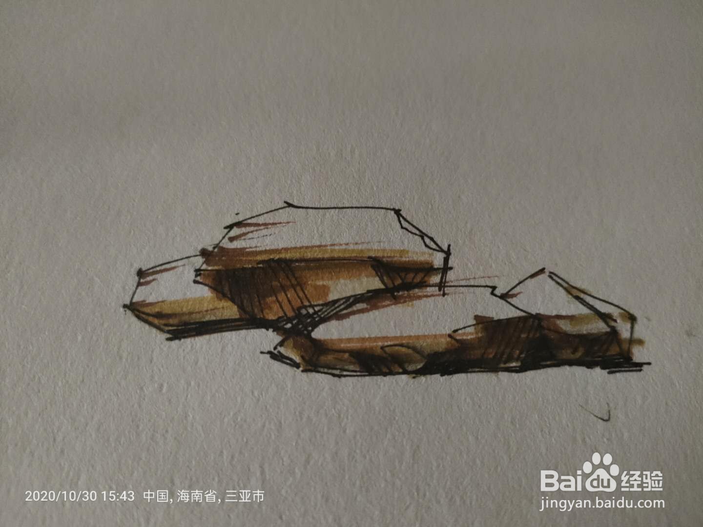 手绘中性笔绘植被