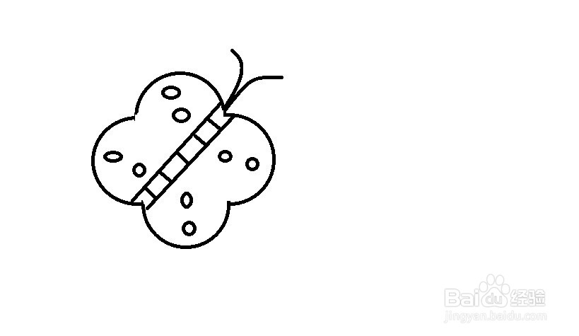 怎样教小朋友画蝴蝶