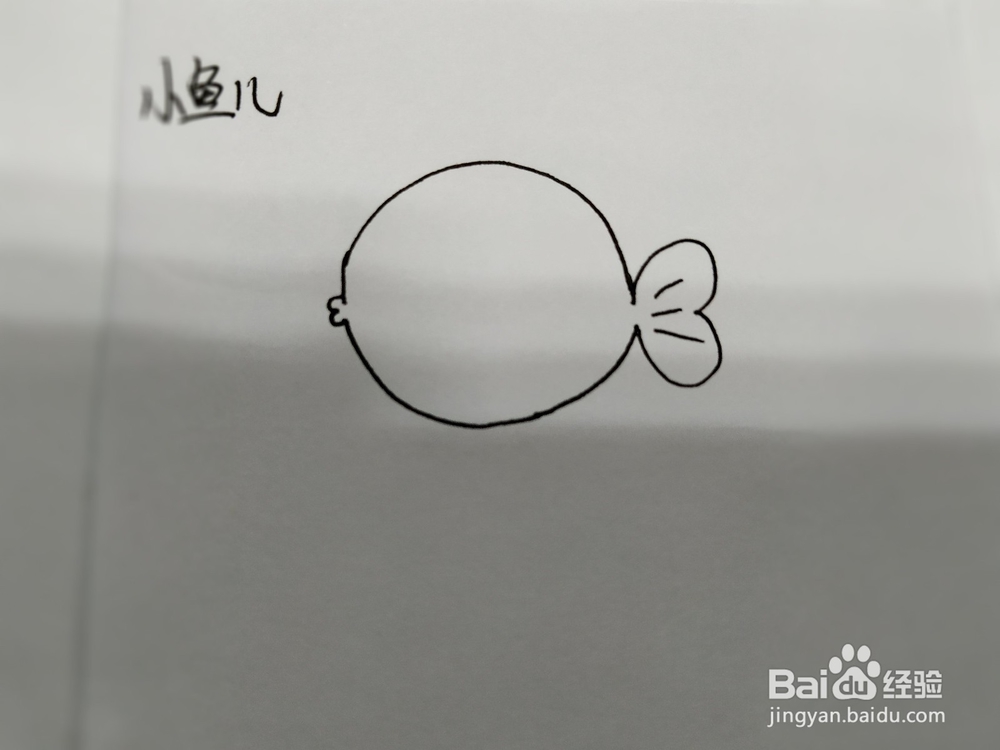 吐泡泡的圆嘟嘟的小鱼儿简笔画怎么画