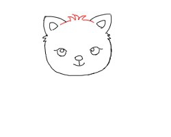 简笔画---怎么画猫
