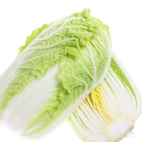 怎样栽白菜苗成活率高