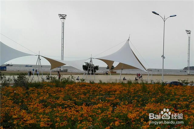 辽宁葫芦岛龙湾海滨旅游好玩吗