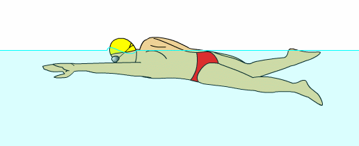 【自由泳】动作要领图解及呼吸技巧