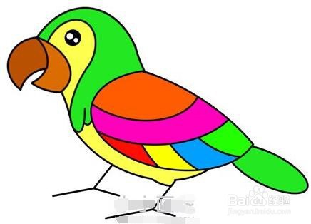 伴儿成长简笔画系列-怎样画美丽鹦鹉简笔画