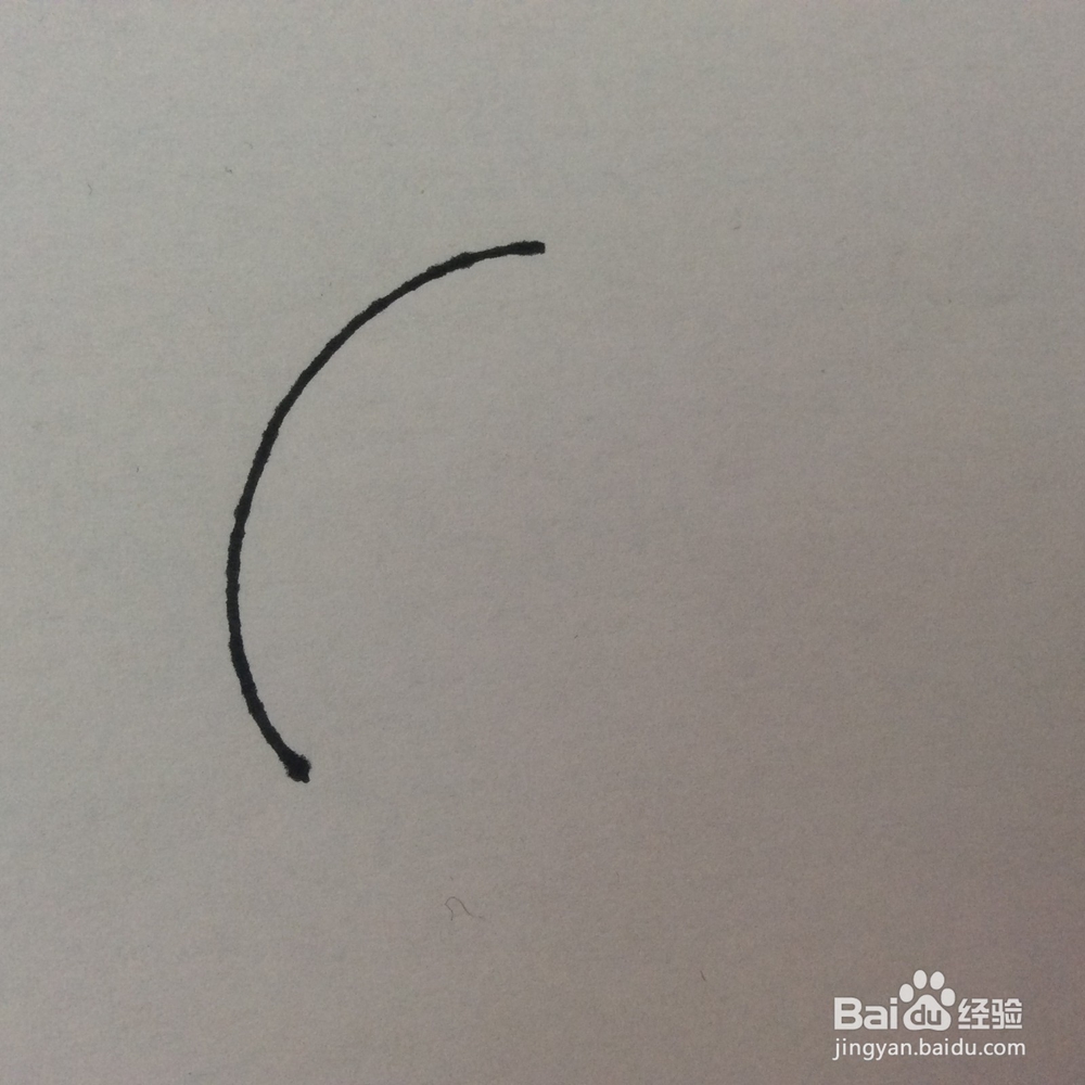 怎么画猪的儿童画？猪的儿童画怎么画呢？