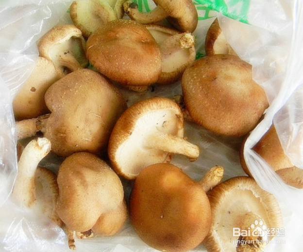 烤蘑菇的做法