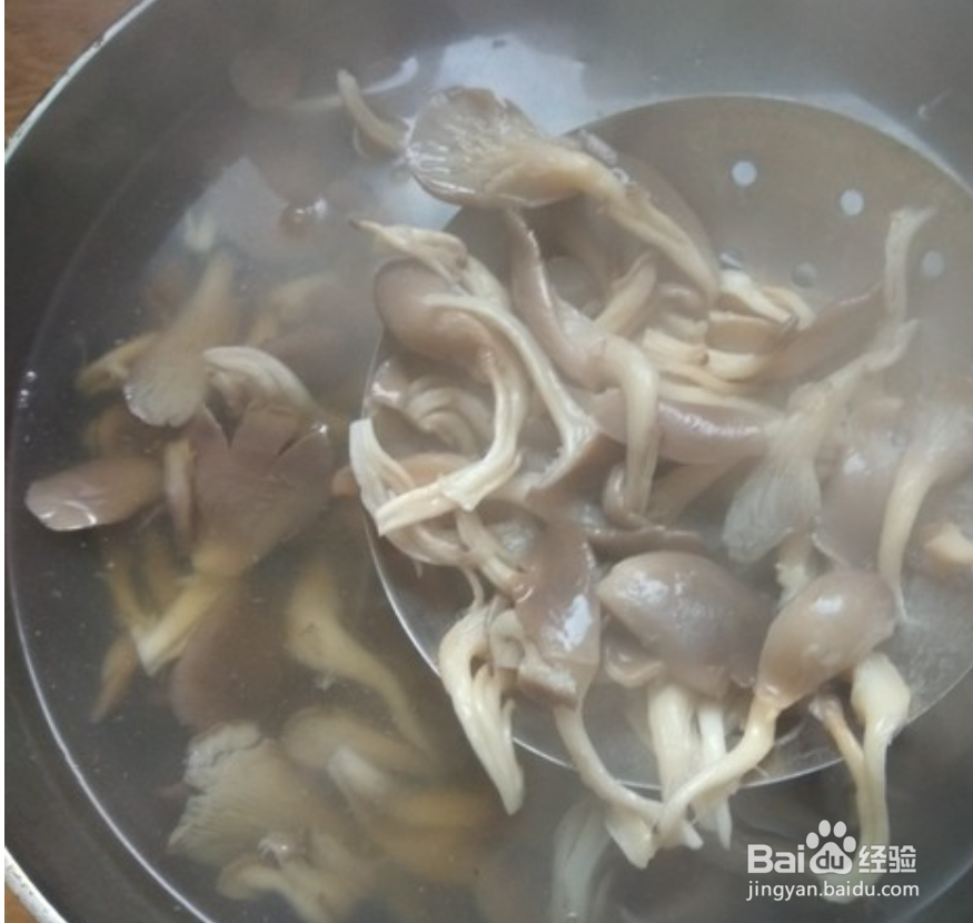 怎么做平菇熘鸡片