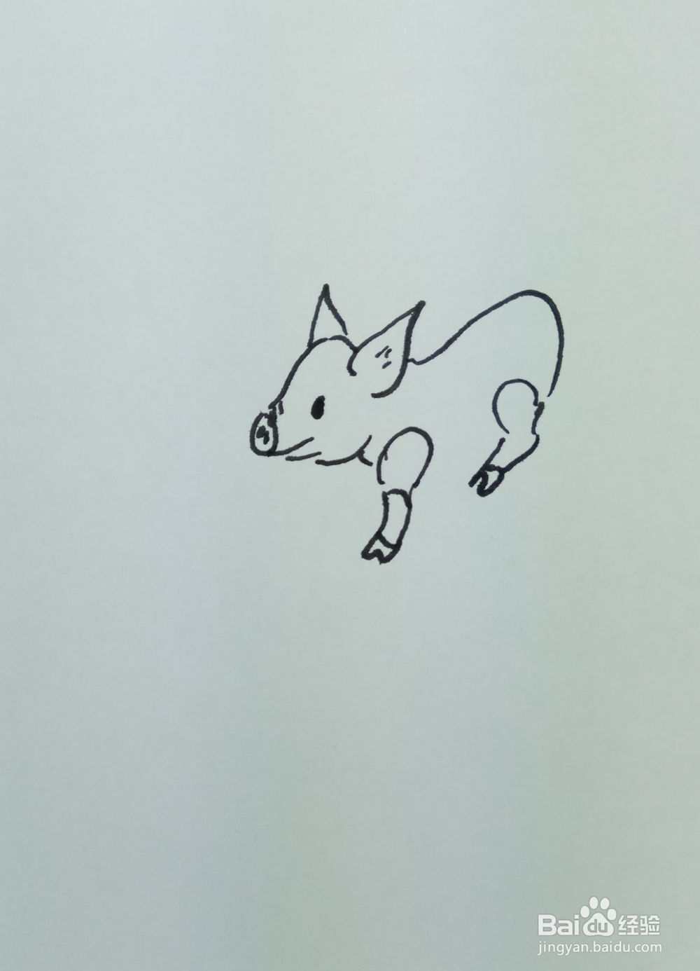 怎样画简笔画“爱嬉戏玩耍的小猪”