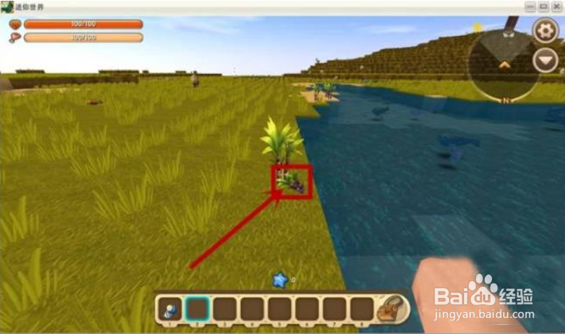 迷你世界甘蔗种在哪里？