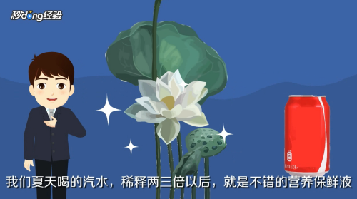 鲜花如何保鲜？