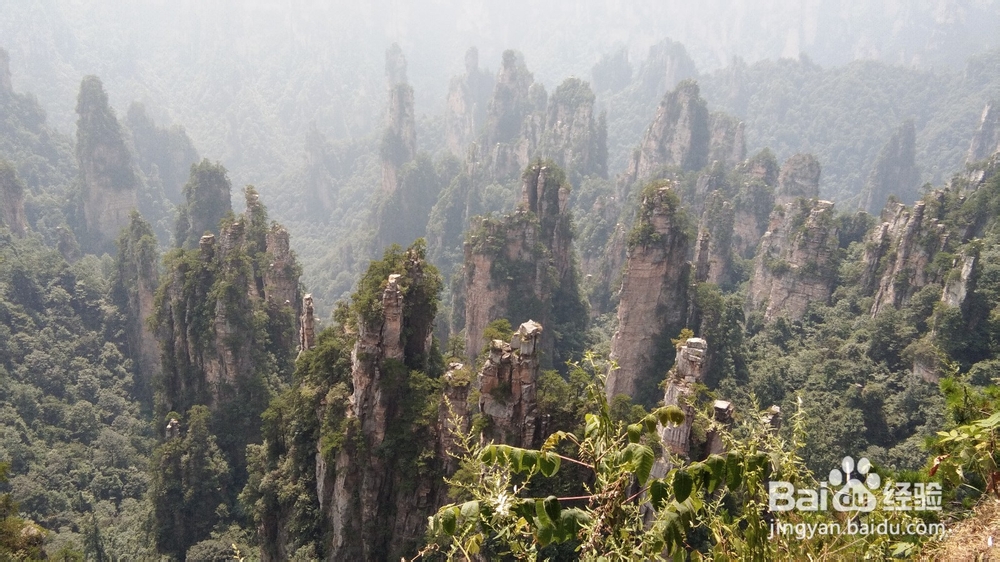 张家界九十月与张家界秋天景色总么样风景漂亮吗