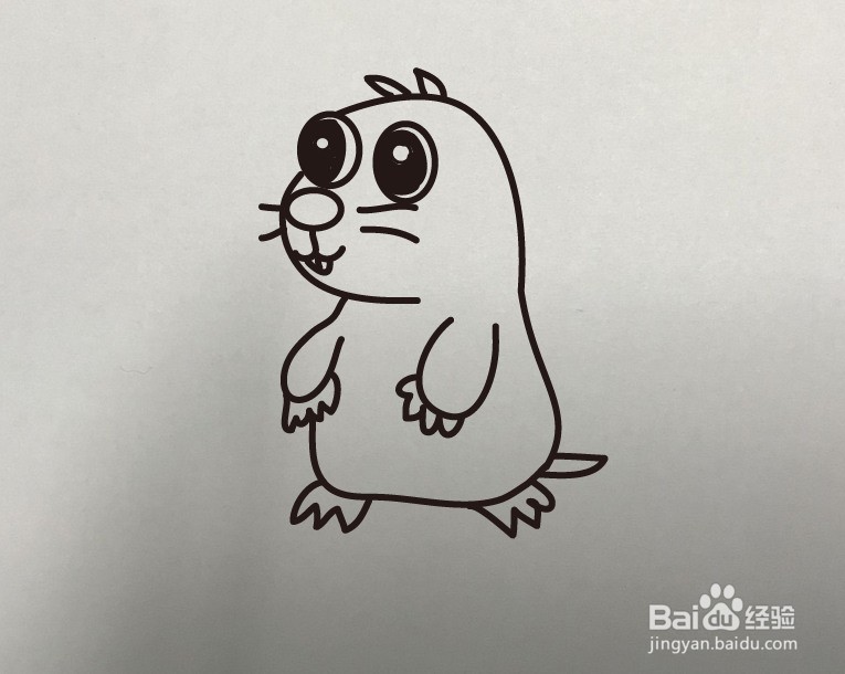 如何画大眼睛树懒的简笔画