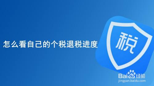 怎么看自己的个税退税进度