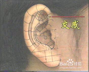 耳穴养生保健