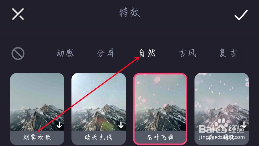飘花瓣特效怎么弄