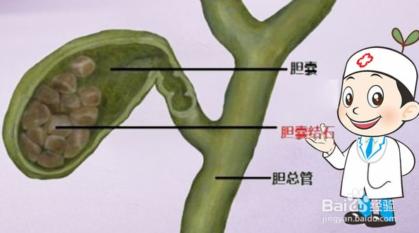 熬夜对身体的伤害