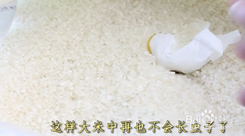 如何防止大米长虫？