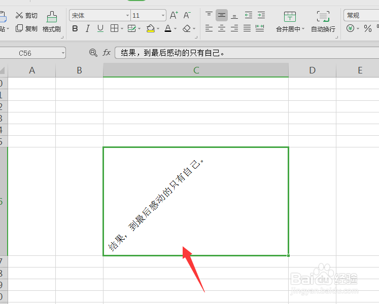WPS表格中如何制作倾斜文字